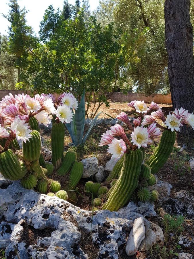 Trulli Di Spinaruta Bed & Breakfast Grottaglie Exterior photo