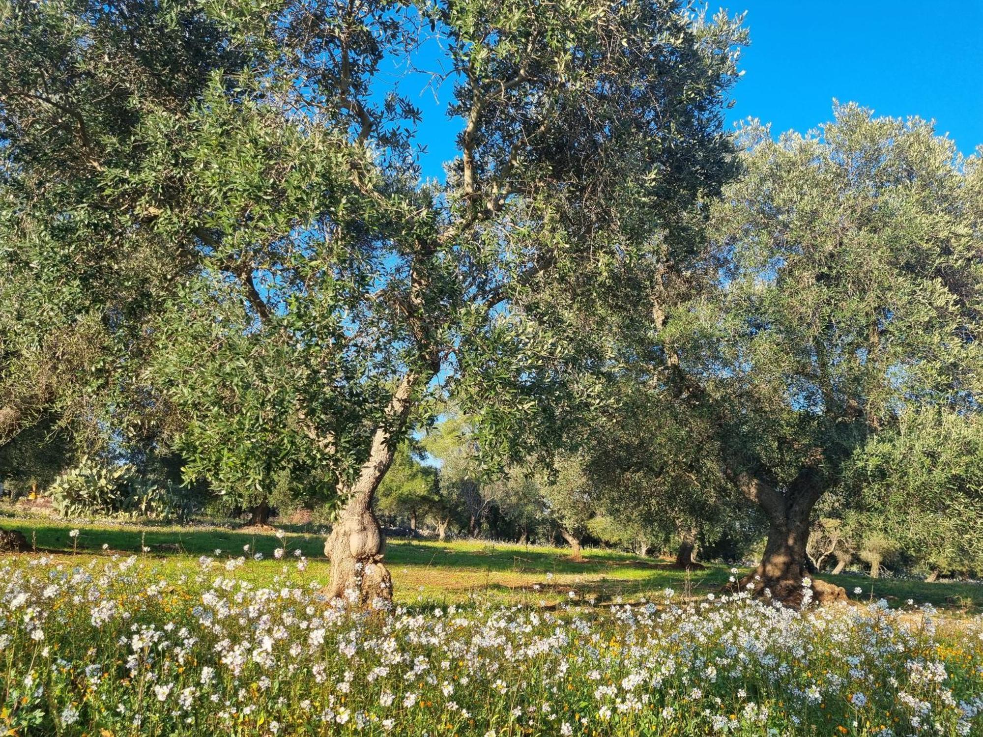 Trulli Di Spinaruta Bed & Breakfast Grottaglie Exterior photo