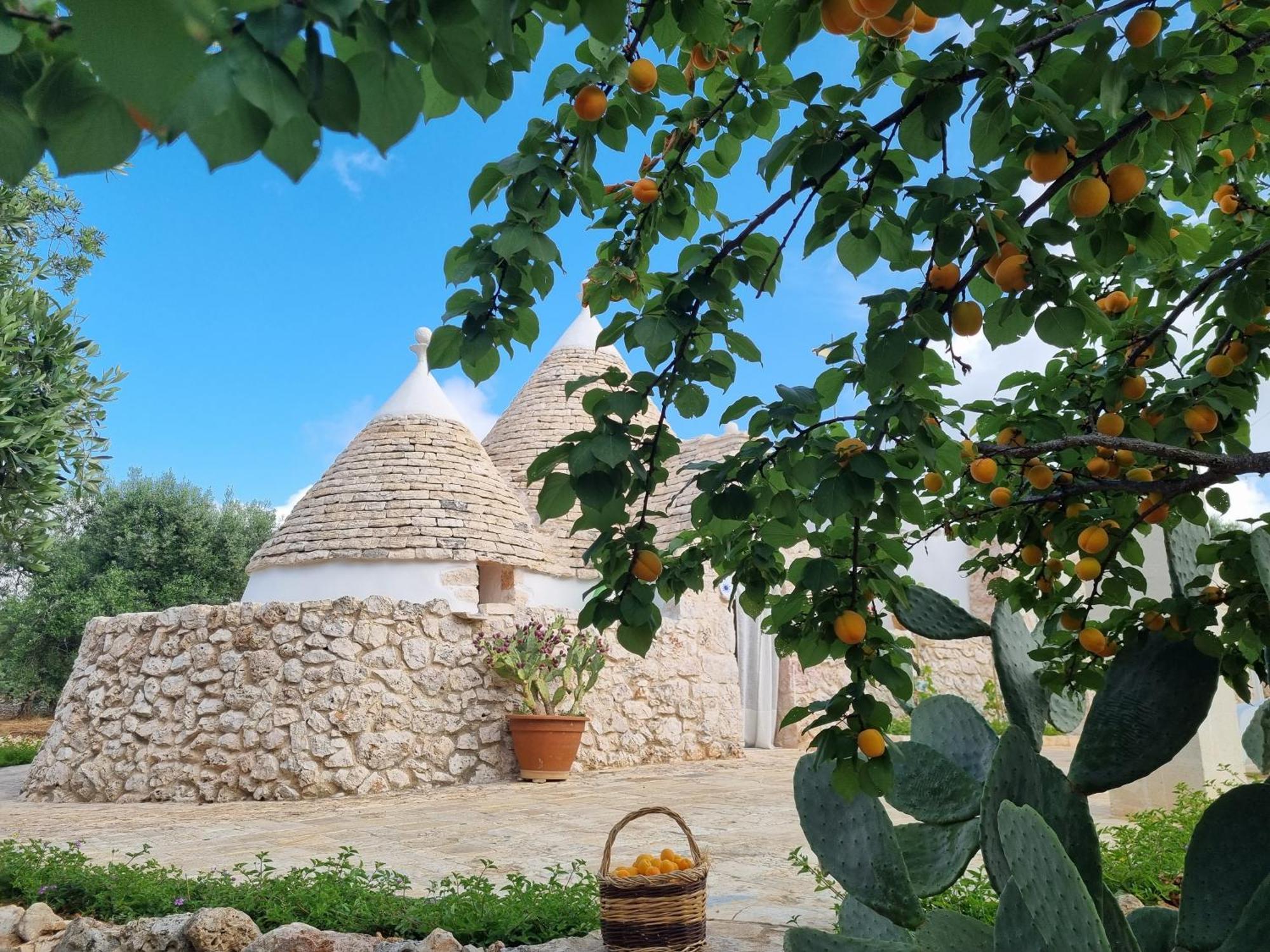 Trulli Di Spinaruta Bed & Breakfast Grottaglie Exterior photo